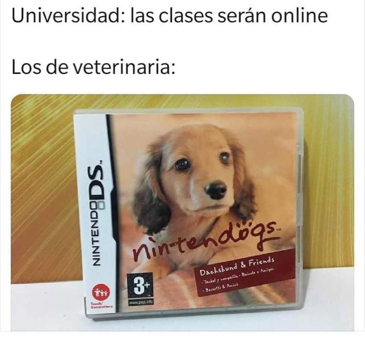 Universidad: las clasés.serán:online: Los:deveterinaria:.